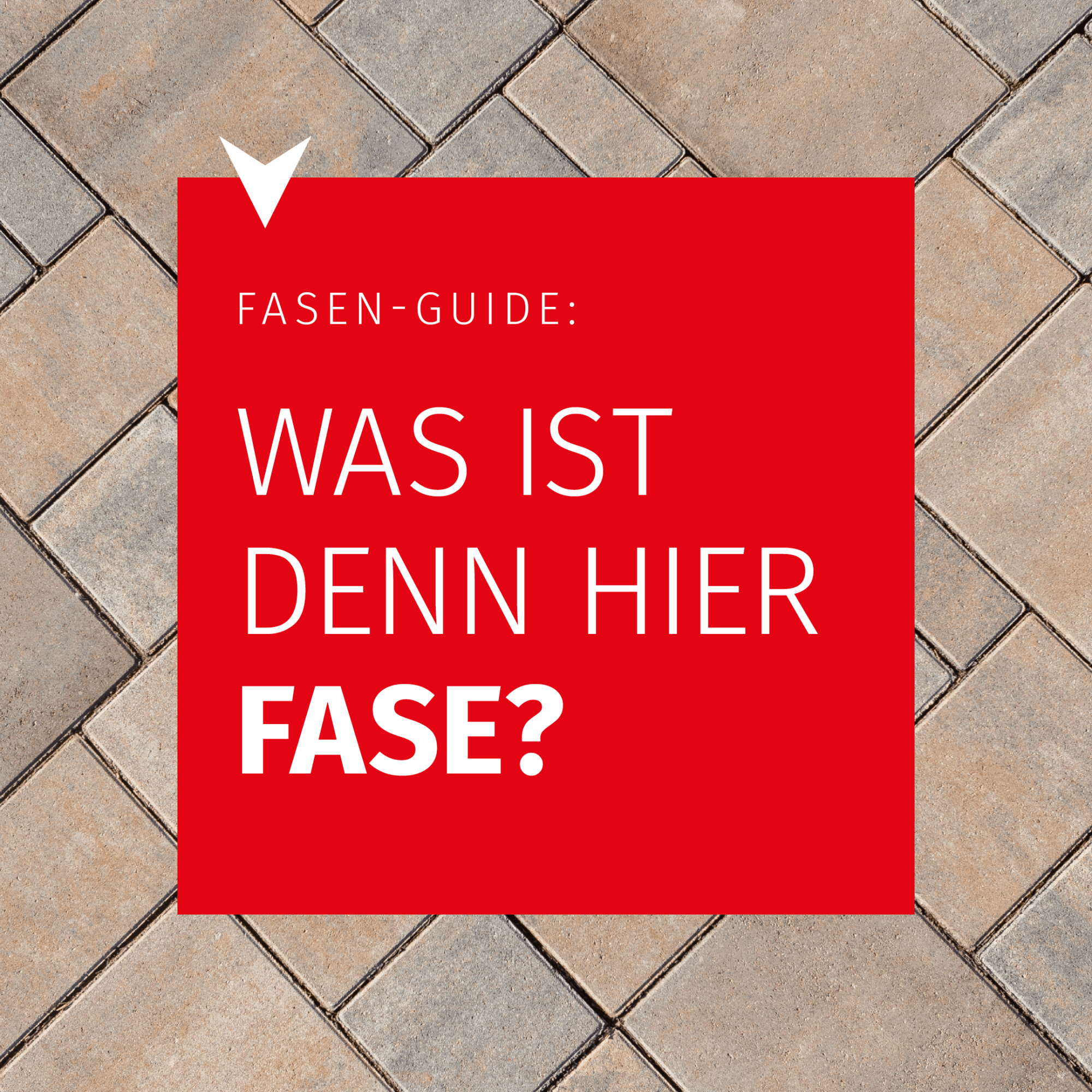 Fasen-Guide